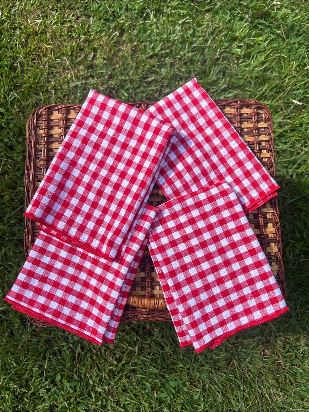 Red Gingham Picnic Napkins - Set of 8